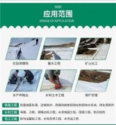 若是水泥强度品级